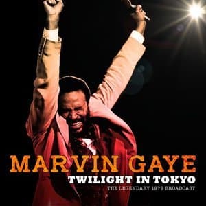 Twilight in Tokyo