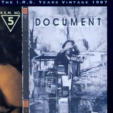 Document (The I.R.S. Years)