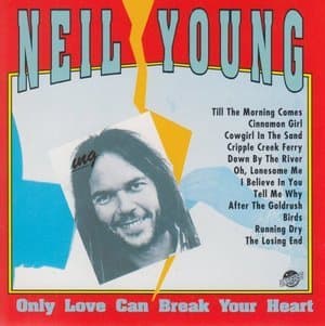 Only Love Can Break Your Heart