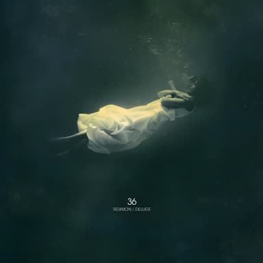Reunion / Deluge