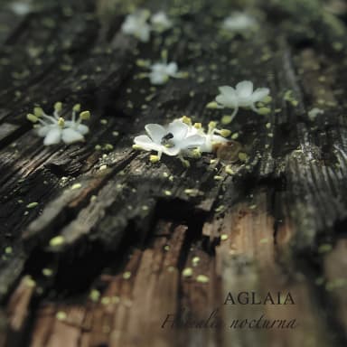 Florealia Nocturna