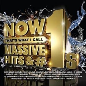 Now Thats What I Call Massive Hits & #1s