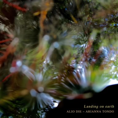 Landing On Earth
