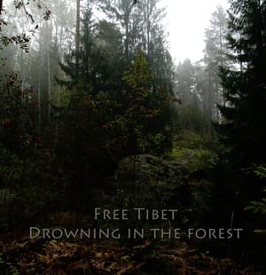 Drowning in the Forest