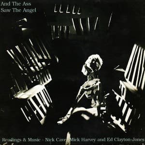 And The Ass Saw The Angel