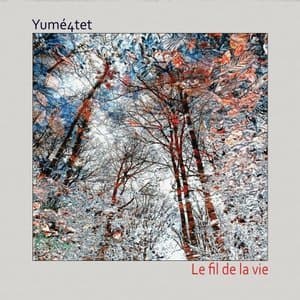 Le fil de la vie