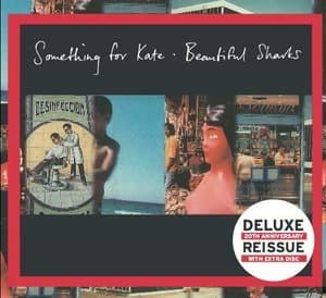 Beautiful Sharks 20th Anniversary