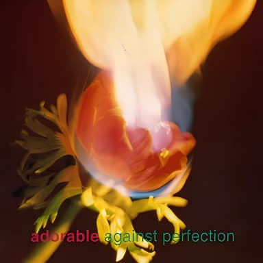 Against Perfection