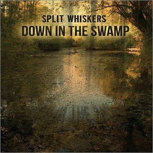 Down In The Swamp
