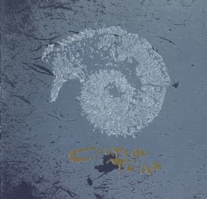 Aikea-Guinea