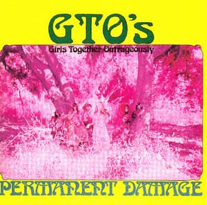 Permanent Damage