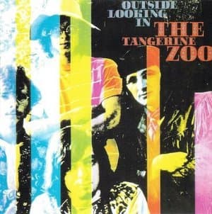 Outside Looking In / Tangerine Zoo