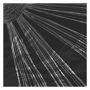 In Silver Halides