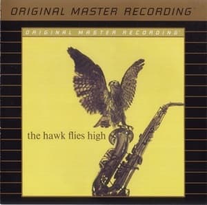 The Hawk Flies High