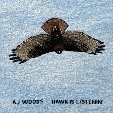 Hawk Is Listenin