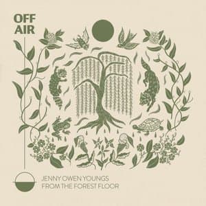 from the forest floor