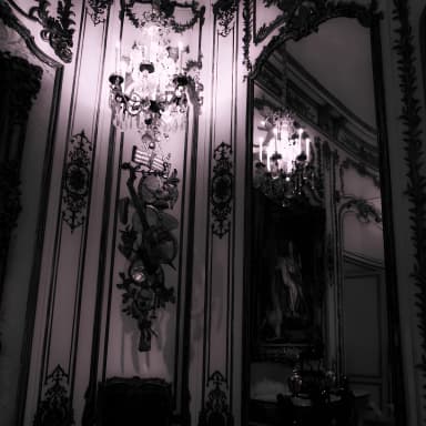 Mirrored Mind