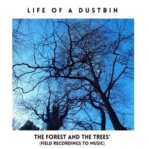 The Forest And The Trees