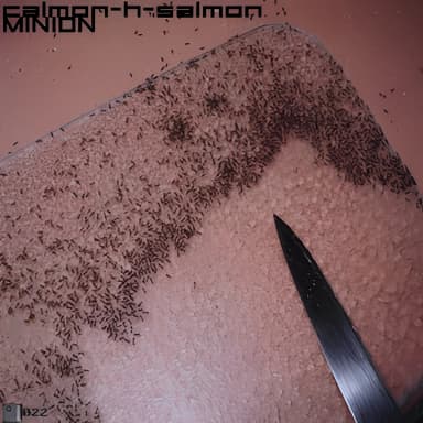 Calmon-h-salmon-minion