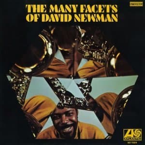 The Many Facets Of David Newman
