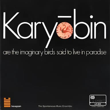 Karyobin