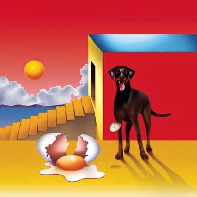 Dog & The Future