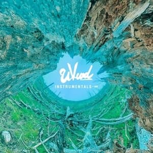INSTRUMENTALS-∞