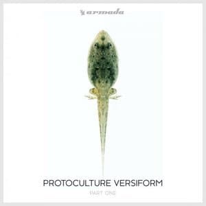 Versiform