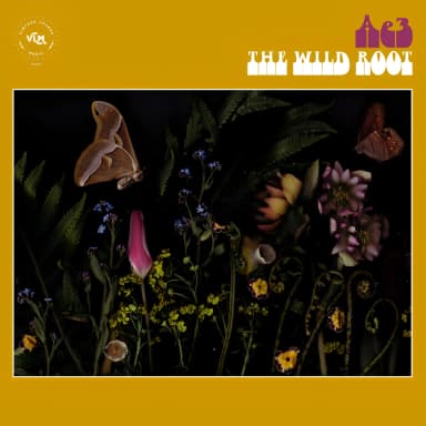 The Wild Root