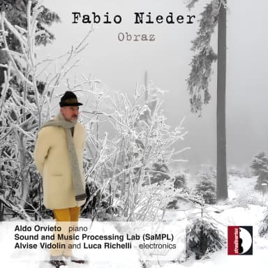 Fabio Nieder: Obraz