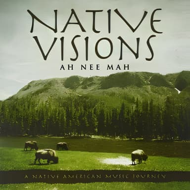 Native Visions: A Native American Music Journey