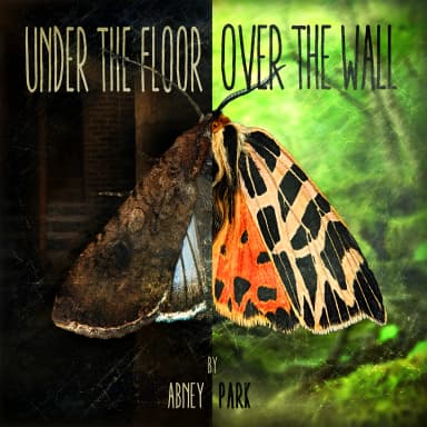 Under The Floor, Over The Wall