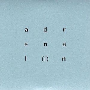 Adrenalin