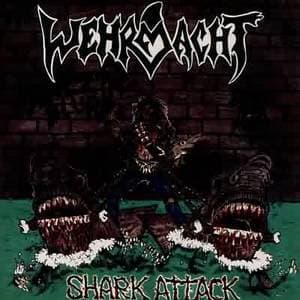 Shark Attack