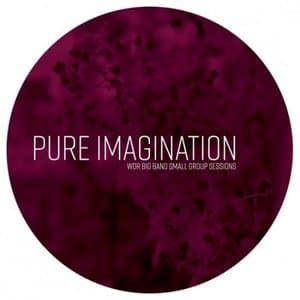 WDR Big Band - Small Group Sessions - Pure Imagination (feat. Hans Dekker)