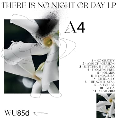 There Is No Night Or Day LP