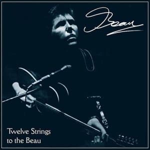 Twelve Strings To The Beau