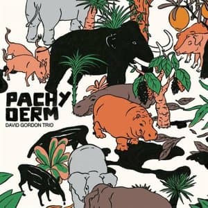 Pachyderm