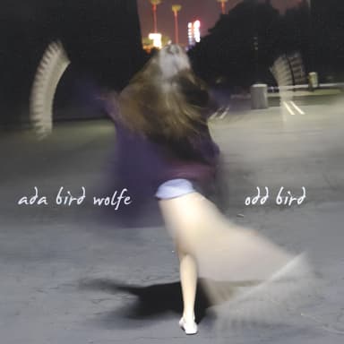 Odd Bird