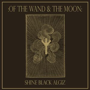 Shine Black Algiz