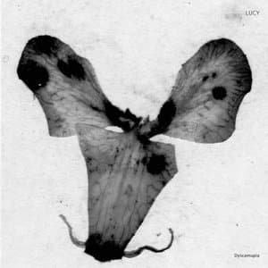 Dyscamupia