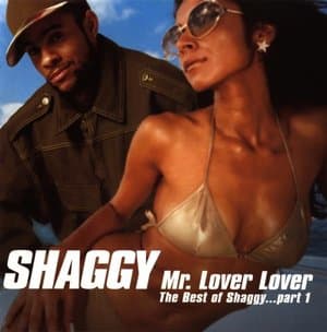 Mr. Lover Lover (The Best Of Shaggy...Part1)