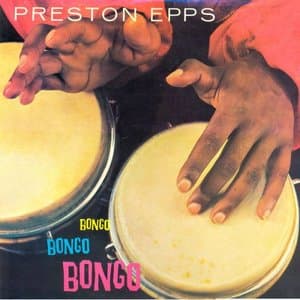Bongo Bongo Bongo!