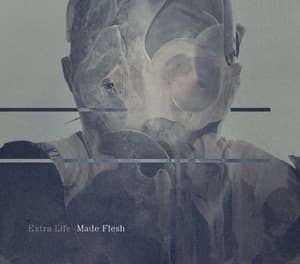 Made Flesh