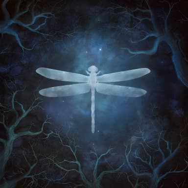 Odonata (20th Anniversary Edition)