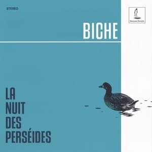  La Nuit des Perseides