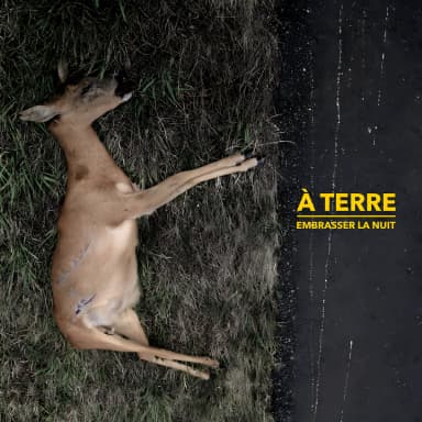 Embrasser La Nuit