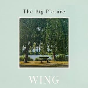 The Big Picture