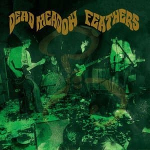 Feathers (20th Anniversary Edition)
