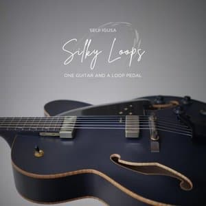 Silky Loops